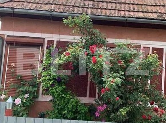 Casa de vânzare 2 camere Deda - 197239CV | BLITZ Târgu Mureș | Poza3
