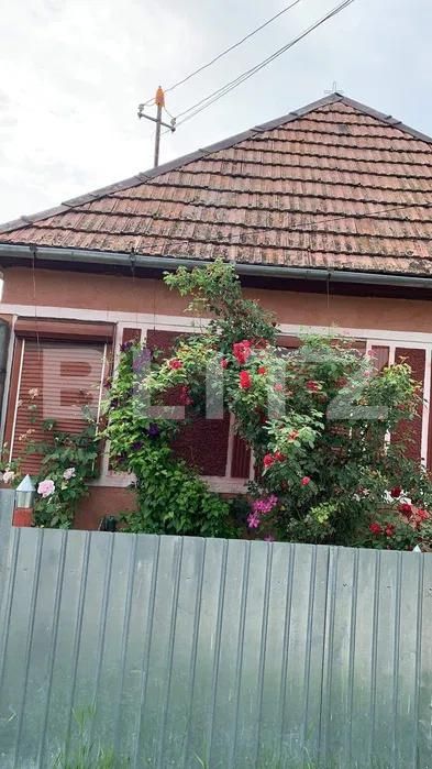 Casa de vânzare 2 camere Deda - 197239CV | BLITZ Târgu Mureș | Poza3