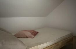 Apartament pe 2 niveluri, 43 mp utili, zona Sancraiu de Mures