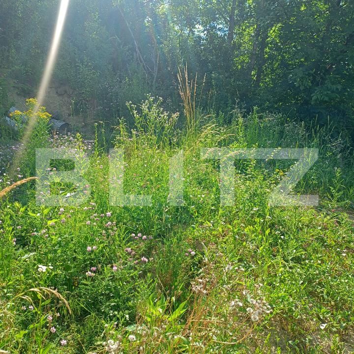Teren de vânzare Tudor - 197547TV | BLITZ Târgu Mureș | Poza3