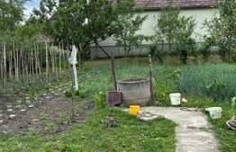 Casă 3 camere 80 mp utili | Teren 798 mp | sat Cornești, comuna Crăciunești