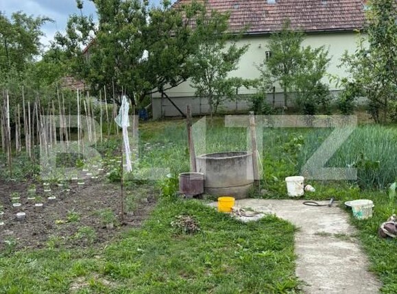 Casa de vânzare 3 camere Cornesti (Craciunesti) - 197566CV | BLITZ Târgu Mureș | Poza1