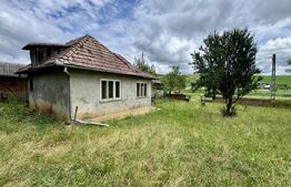 Casa 50 mp utili, 5000 mp teren, sat Draculea Bandului