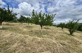 Casa 50 mp utili, 5000 mp teren, sat Draculea Bandului