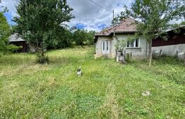 Casa 50 mp utili, 5000 mp teren, sat Draculea Bandului