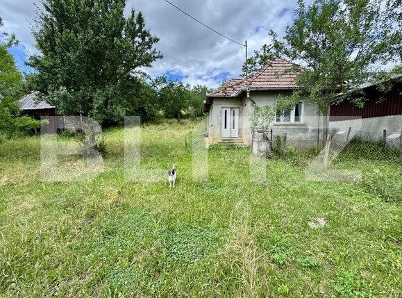 Casa de vânzare 2 camere Draculea Bandului - 197664CV | BLITZ Târgu Mureș | Poza2