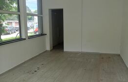 Spatiu comercial, 55 mp, zona Aleea Carpati