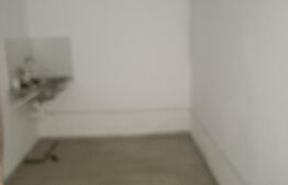 Spatiu comercial, 55 mp, zona Aleea Carpati