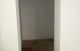 Spatiu comercial, 55 mp, zona Aleea Carpati