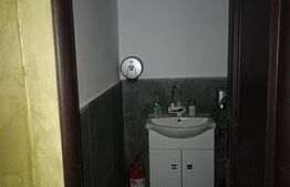 Spatiu comercial, 55 mp, zona Aleea Carpati
