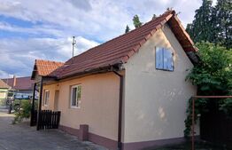 Casa de vânzare în Aluniș