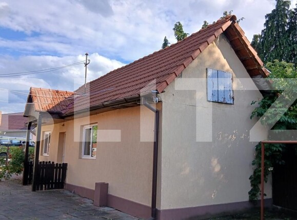 Casa de vânzare 3 camere Alunis - 198061CV | BLITZ Târgu Mureș | Poza13
