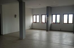 Salon remodelare corporala, 185 mp, 