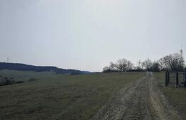 Teren intravilan, 15.904 mp, zona Dambu