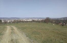 Teren intravilan, 15.904 mp, zona Dambu