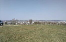Teren intravilan, 15.904 mp, zona Dambu
