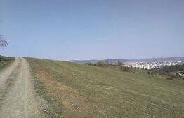 Teren intravilan, 15.904 mp, zona Dambu