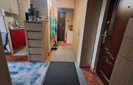 Apartament de vânzare Tudor