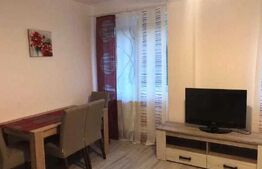 Apartament 1 cameră mobilat și utilat, 40 mp - str Gloriei, Tudor
