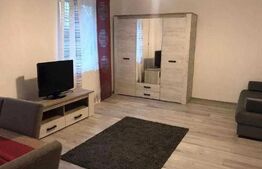 Apartament 1 cameră mobilat și utilat, 40 mp - str Gloriei, Tudor