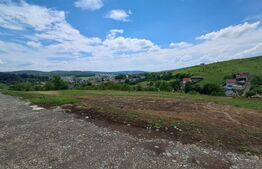 Teren Intravilan, 1000 mp, zona Livezeni