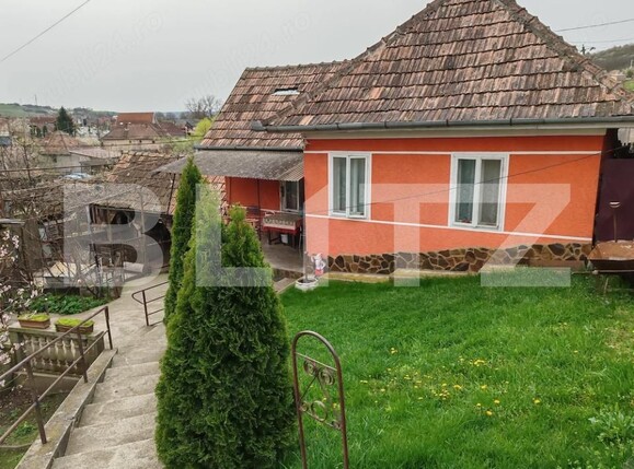 Casa de vânzare 4 camere Ludus - 198441CV | BLITZ Târgu Mureș | Poza7