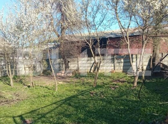 Casa de vânzare 4 camere Mureseni - 198596CV | BLITZ Târgu Mureș | Poza12