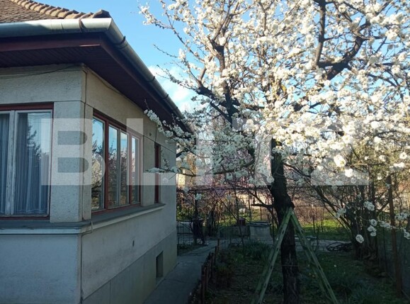 Casa de vânzare 4 camere Mureseni - 198596CV | BLITZ Târgu Mureș | Poza14