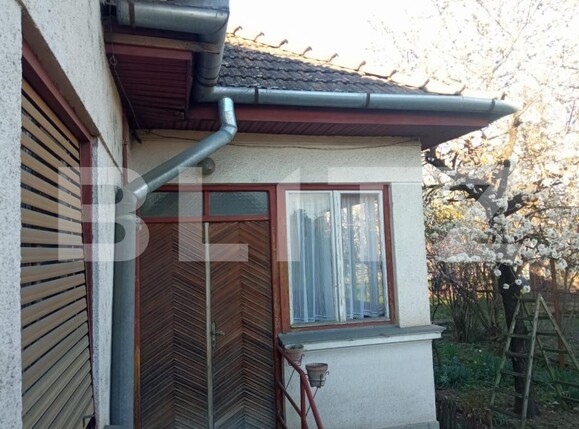 Casa de vânzare 4 camere Mureseni - 198596CV | BLITZ Târgu Mureș | Poza13