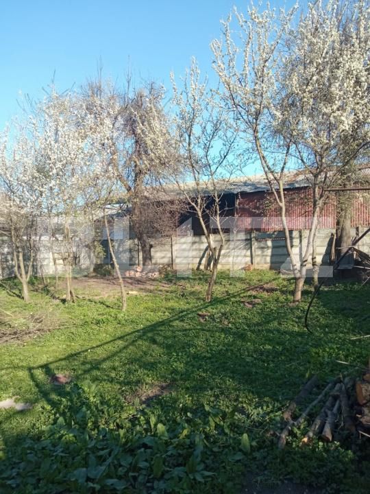 Casa de vânzare 4 camere Mureseni - 198596CV | BLITZ Târgu Mureș | Poza12