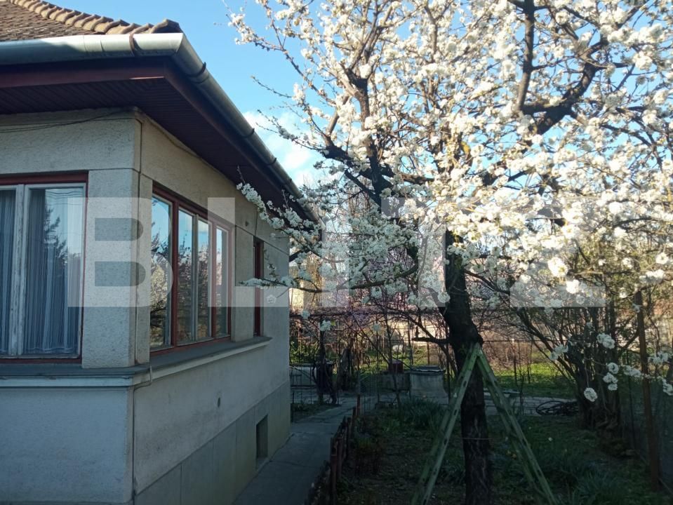 Casa de vânzare 4 camere Mureseni - 198596CV | BLITZ Târgu Mureș | Poza14