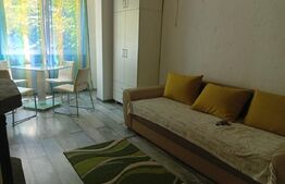 Apartament 1 camera, 30 mp, etaj intermediar, zona Diamant
