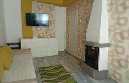 Apartament 1 camera, 30 mp, etaj intermediar, zona Diamant