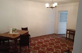 OPORTUNITATE : Proprietate formată din 2 case și teren generos – Sighisoara