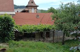 OPORTUNITATE : Proprietate formată din 2 case și teren generos – Sighisoara