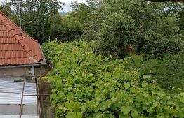 OPORTUNITATE : Proprietate formată din 2 case și teren generos – Sighisoara
