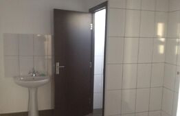 Hală de închiriat– 740 mp, acces facil pentru TIR și activități logist, Luduș 