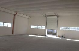 Hală de închiriat– 740 mp, acces facil pentru TIR și activități logist, Luduș 