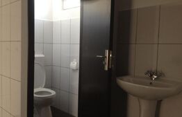 Hală de închiriat– 740 mp, acces facil pentru TIR și activități logist, Luduș 