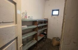 Casa 3 camere + dependinte, 84.50 mp, teren 3900 mp, zona Dumbravioara 