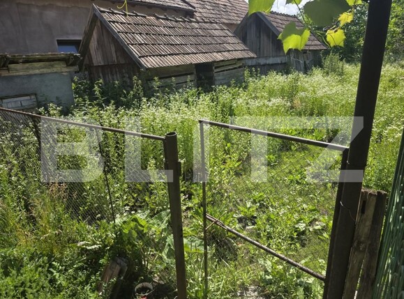 Casa de vânzare 3 camere Dumbravioara - 199172CV | BLITZ Târgu Mureș | Poza9