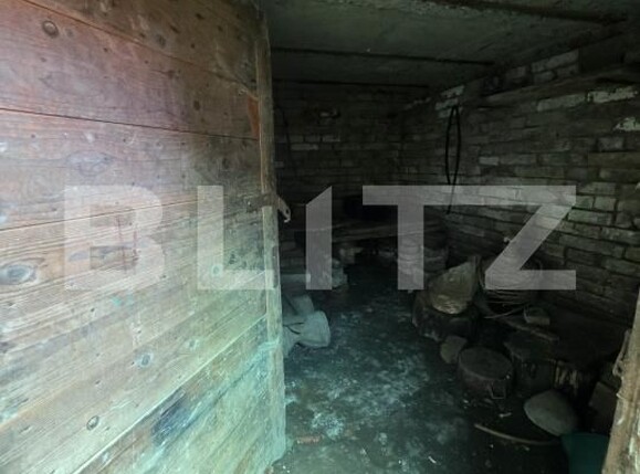 Casa de vânzare 3 camere Dumbravioara - 199172CV | BLITZ Târgu Mureș | Poza10