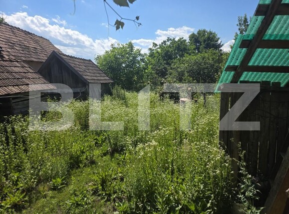 Casa de vânzare 3 camere Dumbravioara - 199172CV | BLITZ Târgu Mureș | Poza8