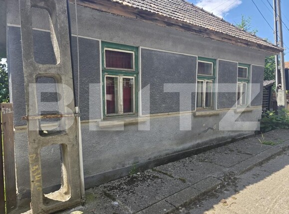 Casa de vânzare 3 camere Dumbravioara - 199172CV | BLITZ Târgu Mureș | Poza2