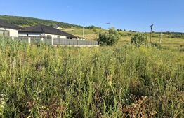 Teren intravilan, 1000 mp, zona Central - Livezeni