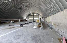 Spațiu comercial cu stație ITP, acces TIR/camioane, 288 mp, zona Cristesti
