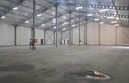 Hală nou construită, 1.260 mp, ideală pentru producție sau depozitare, Cristești