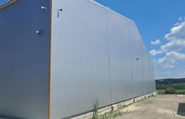 Hală nou construită, 1.260 mp, ideală pentru producție sau depozitare, Cristești