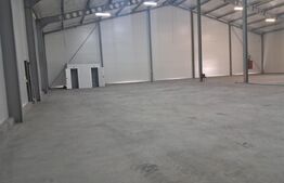 Hală nou construită, 1.260 mp, ideală pentru producție sau depozitare, Cristești