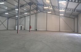 Hală nou construită, 1.260 mp, ideală pentru producție sau depozitare, Cristești